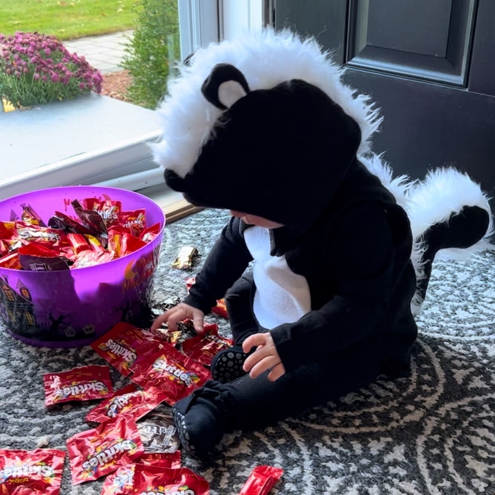 Pottery Barn Skunk Costume